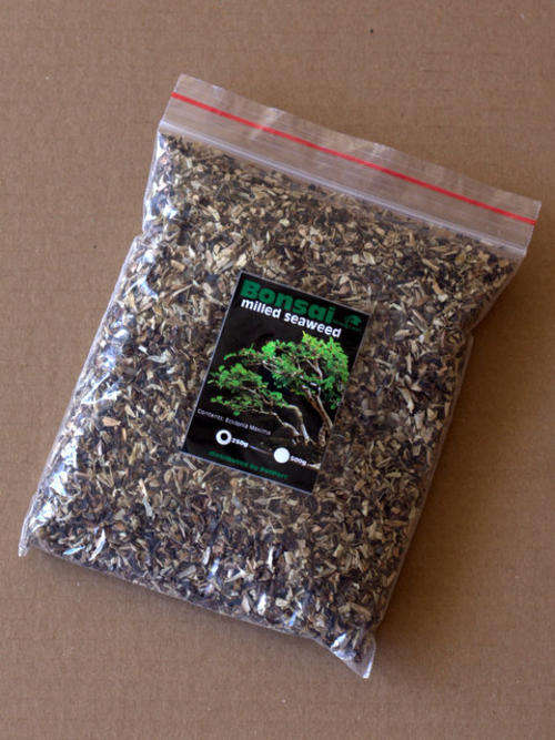 milled seaweed fertilizer bonsai