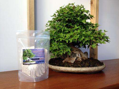 BonsaiBoost Bonsai Organic Fertilizer