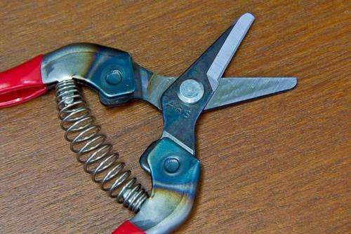 japanese bonsai tools scissors