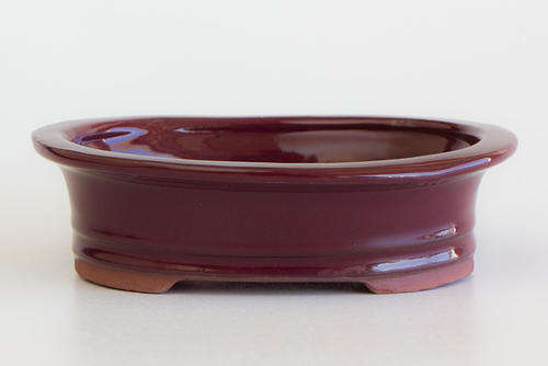 Glazed Bonsai Container, 15 x 12 x 5.5cm