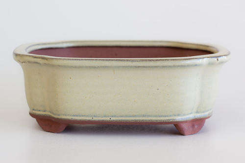 Glazed Bonsai Container, 18 x 13.5 x 6cm
