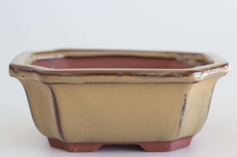 6" Glazed Bonsai Container