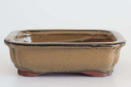 6" Glazed Bonsai Container