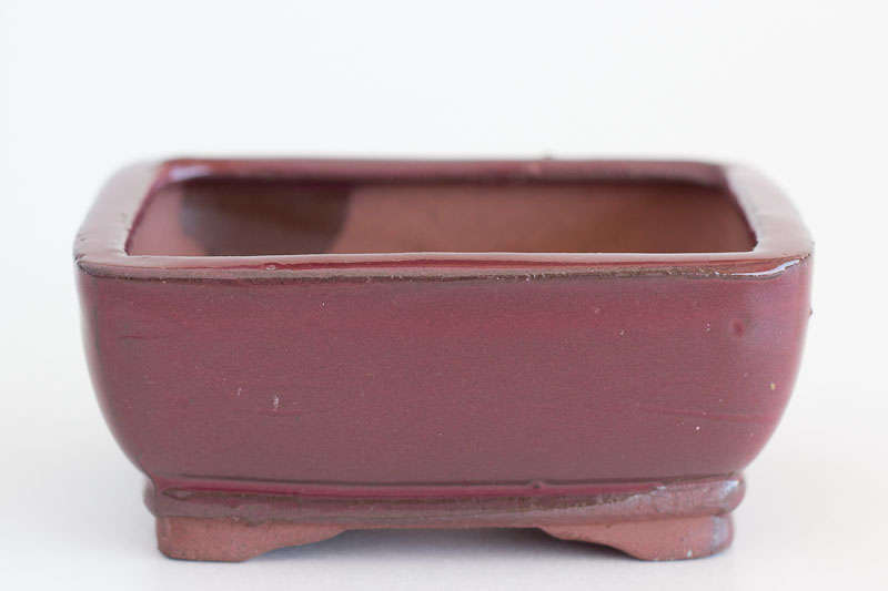 Extra Height Glazed Bonsai Container, 12 x 9 x 5cm