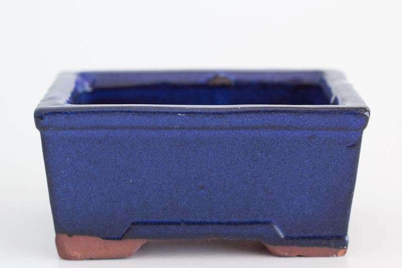 Extra Height Glazed Bonsai Container, 12 x 9 x 5cm