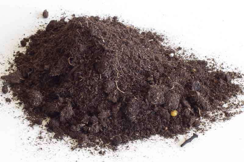 peat bonsai mix