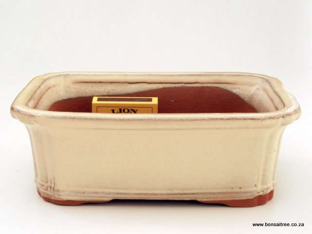 Glazed Rectangular Bonsai Container