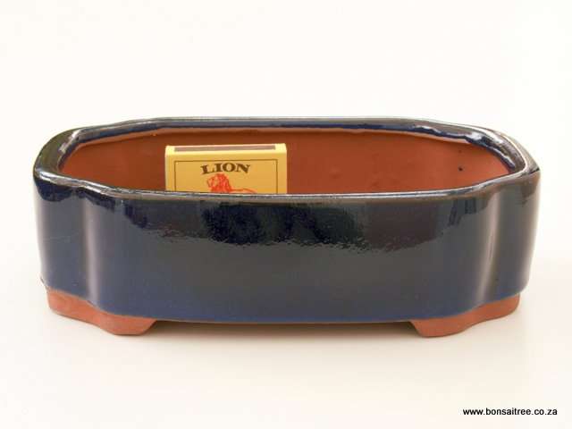 Glazed Rectangular Bonsai Container