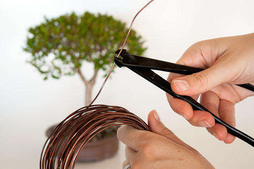 cutting off a length of wire to use on your bonsai tree