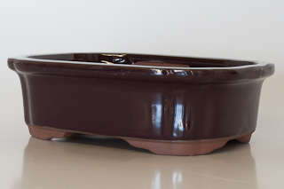 Glazed Bonsai Container