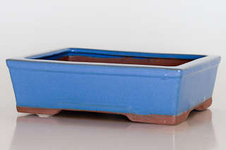 Glazed Bonsai Container, 20 x 15 x 7cm