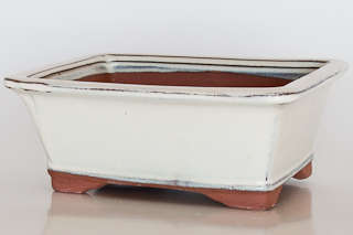 Glazed Bonsai Container, 21 x 16 x 8.5cm