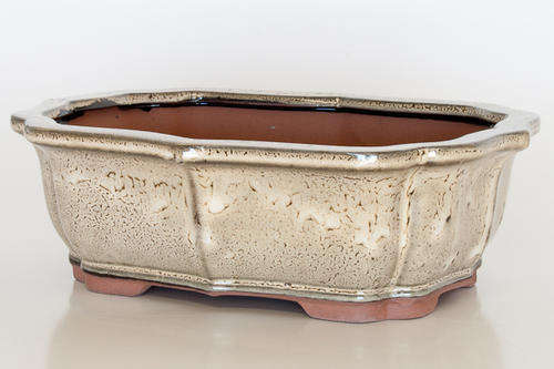 Glazed Bonsai Container, 25 x 19 x 8cm
