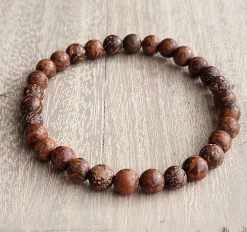Natural Starburst Jasper Bracelet - 6mm