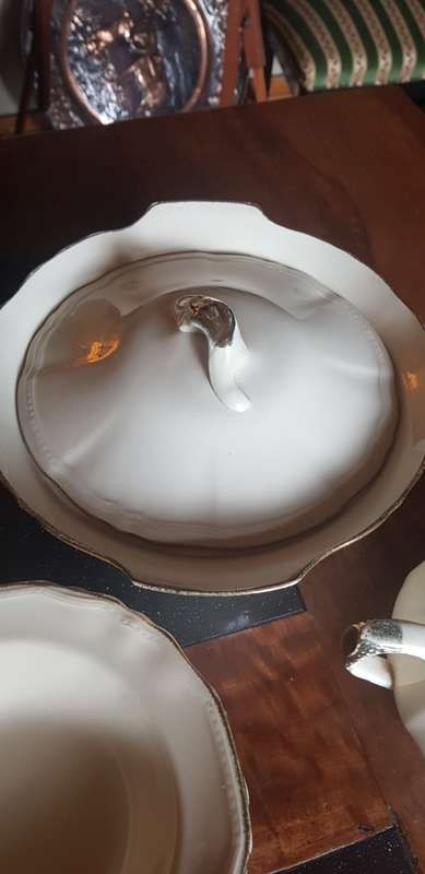 Vintage Alfred Meakin Dinner set incomplete
