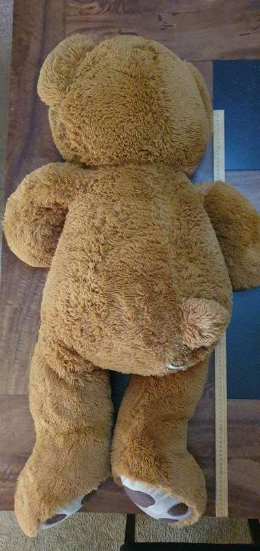 Huge 1 Meter Tall Teddy Bear