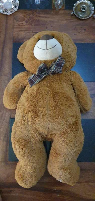 Huge 1 Meter Tall Teddy Bear