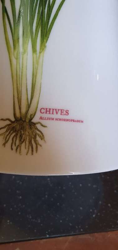 Stunning Maxwell Williams Jug