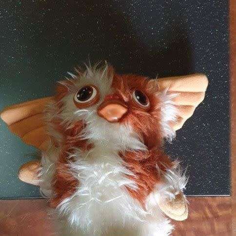 *Cute little Gismo from The Movie Gremlins.*