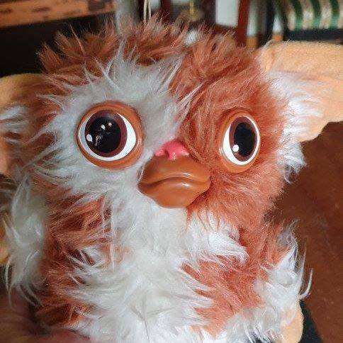 *Cute little Gismo from The Movie Gremlins.*