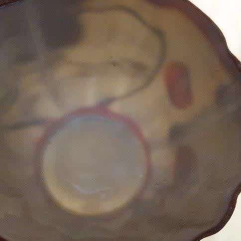 *Fine China Hand Painted Tea Cup and Two Saucers*