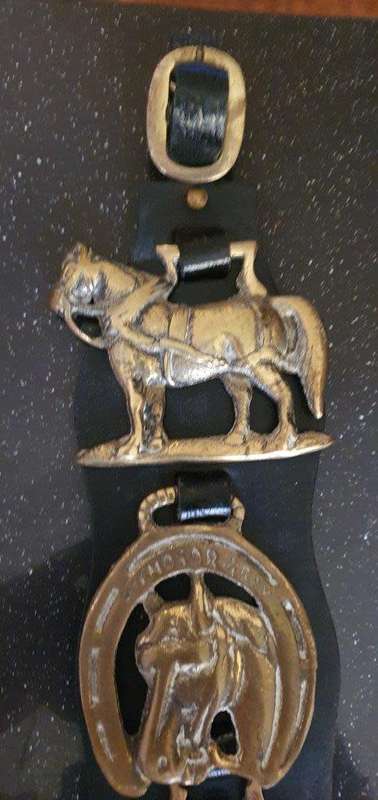 Vintage  Brass Horse Medallions on Leather Bridal.