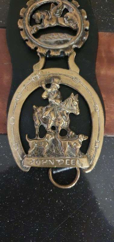 Vintage  Brass Horse Medallions on Leather Bridal.