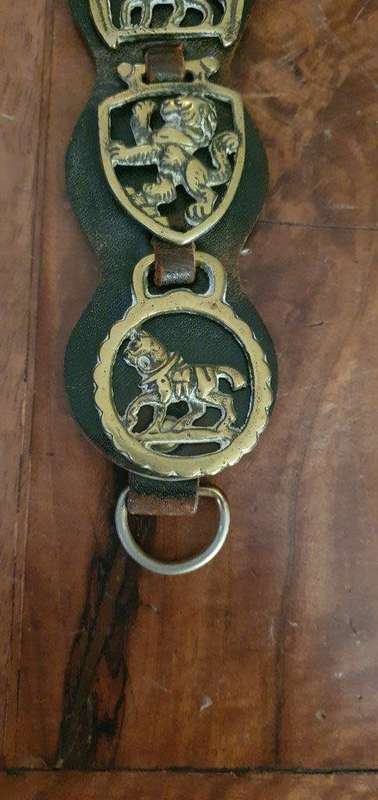 Vintage Brass Horse Medallions