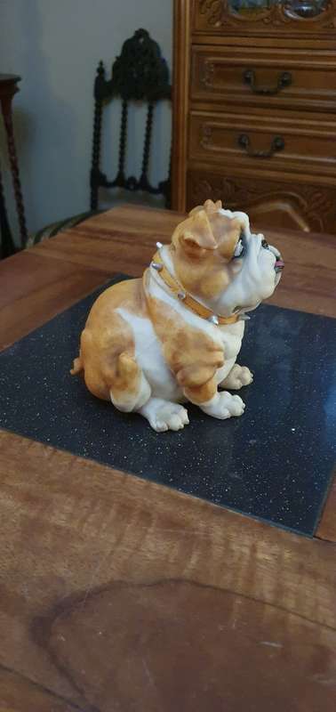 Gorgeous Bulldog Money Bank