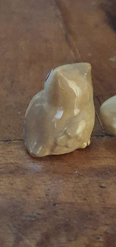 Two Small Wade Owls