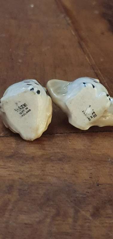 Two Small Wade Owls