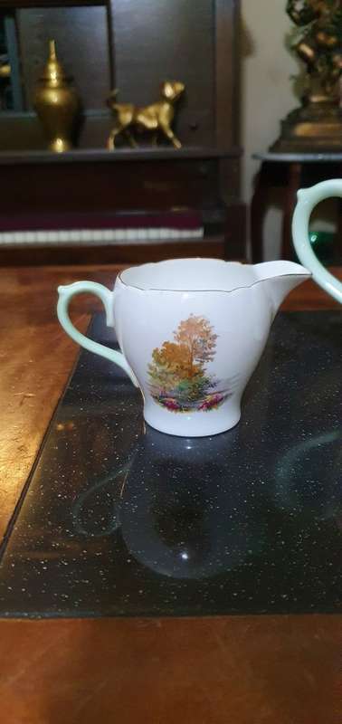 Vintage Shelly Porcelain Tea Pot plus a few Extras