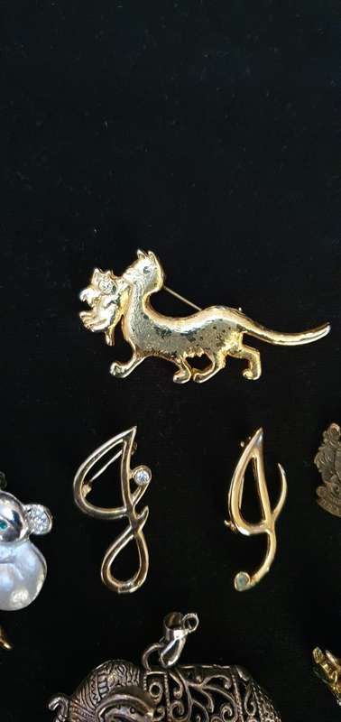 Gold Plated Brooches Plus a few Extras