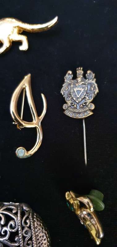 Gold Plated Brooches Plus a few Extras