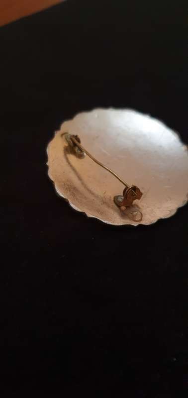Gold Plated Brooches Plus a few Extras