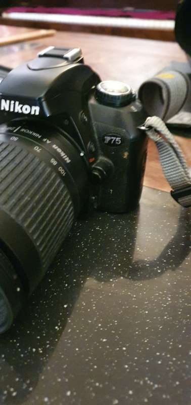 Nikon F75 Camera
