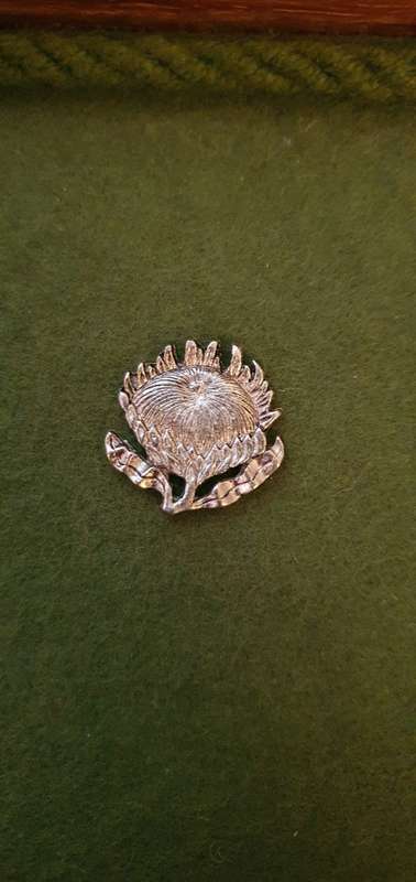 Stunning Vintage Jewellery Box, Made from Kiaat, Swarthout and Dennehout