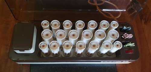 Cascade 20 Hot Hair Curlers