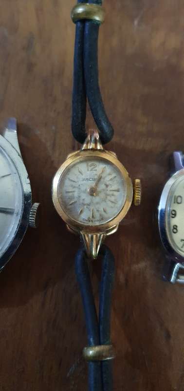 Collection of Automatic Watches