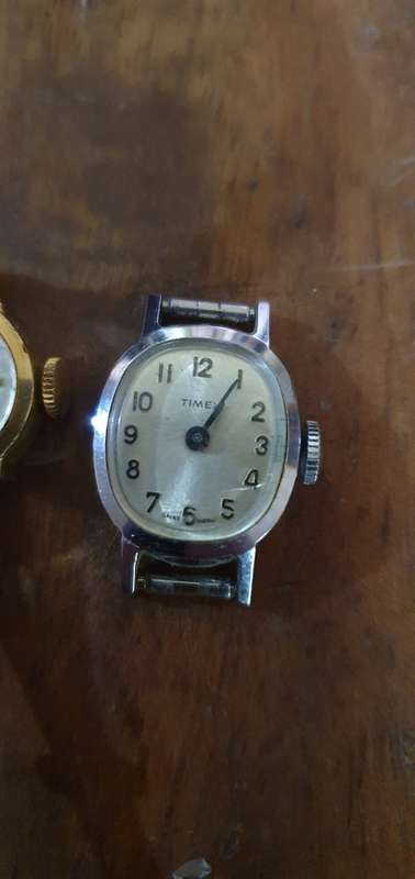Collection of Automatic Watches