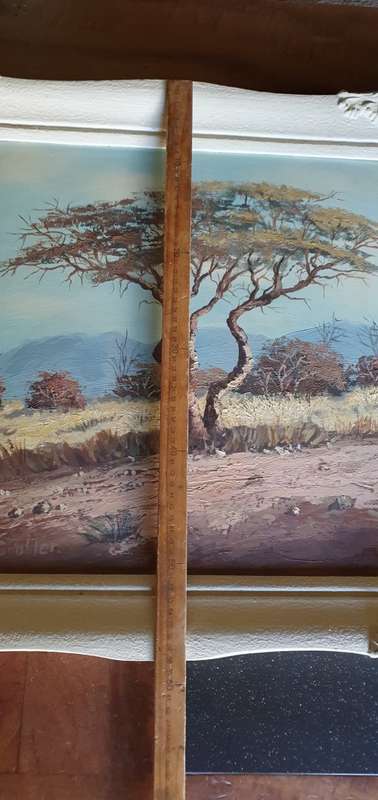 Stunning W P Grobler Oil on Board.