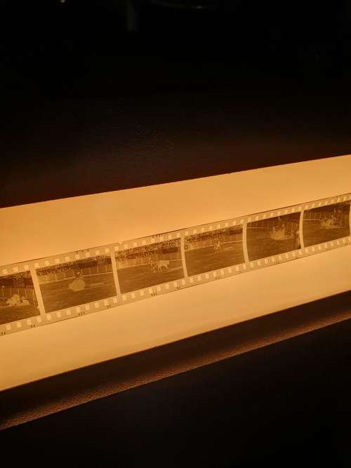 Large Slide/Film Viewer