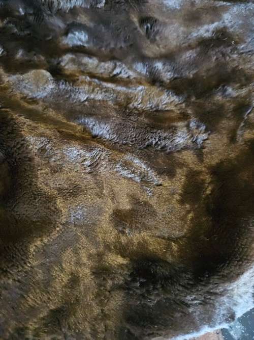 Ladies Karakul Wool Jacket