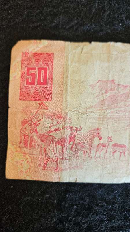 South African R50 Bank Note
