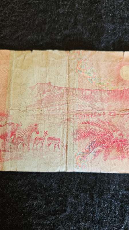 South African R50 Bank Note