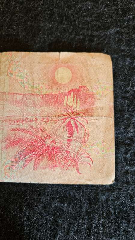 South African R50 Bank Note