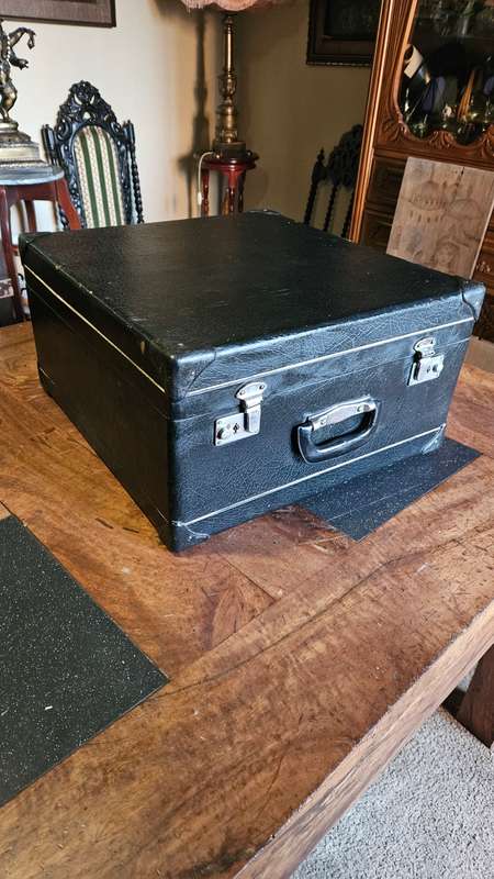 Parrot Piano Accordian
