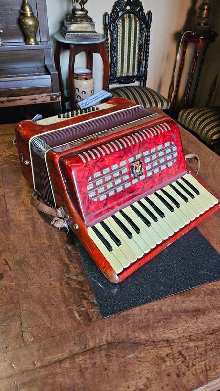 Parrot Piano Accordian