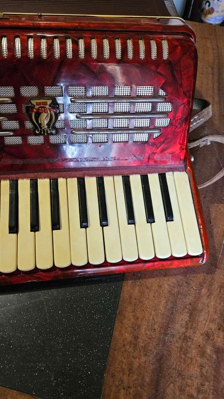 Parrot Piano Accordian