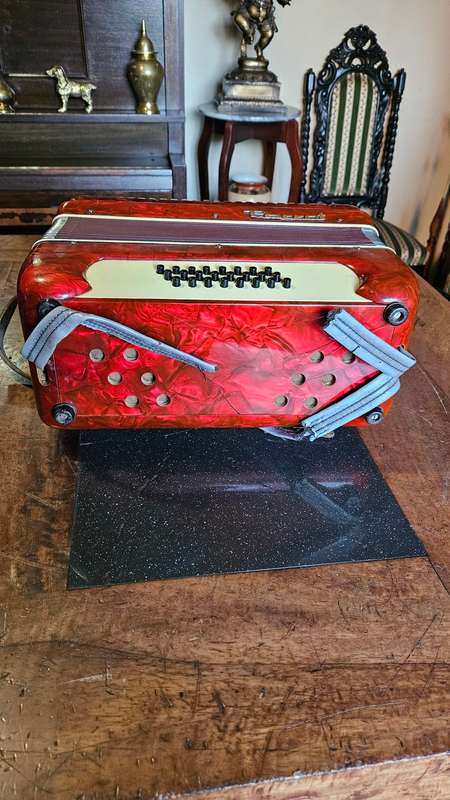 Parrot Piano Accordian